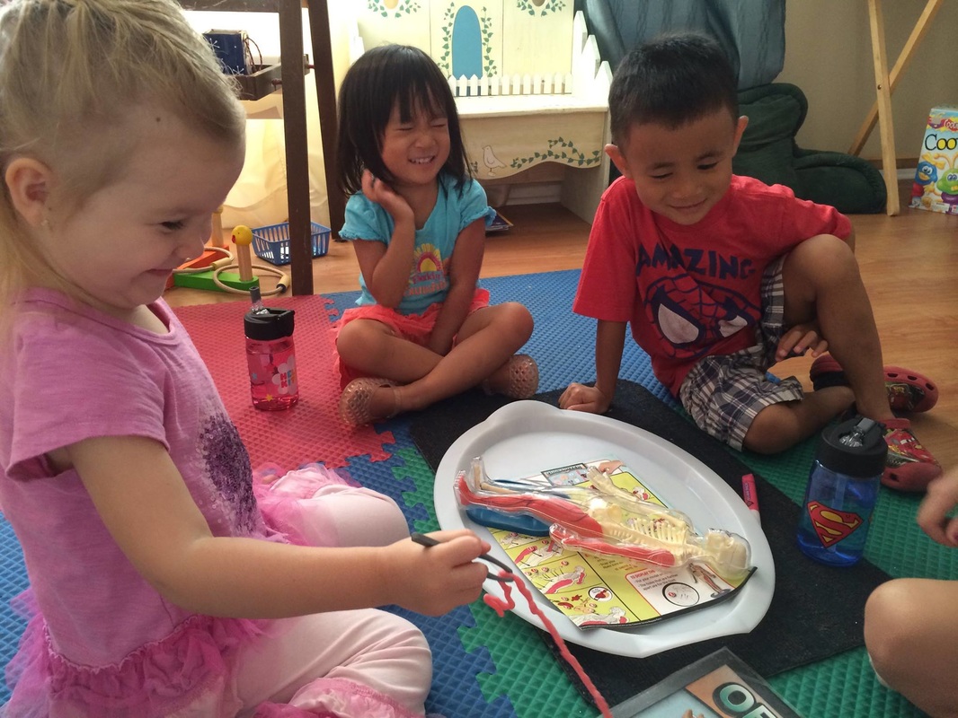 How do you prepare Montessori lesson plans?
